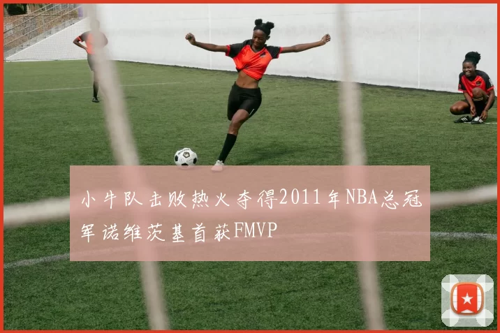 小牛队击败热火夺得2011年NBA总冠军诺维茨基首获FMVP